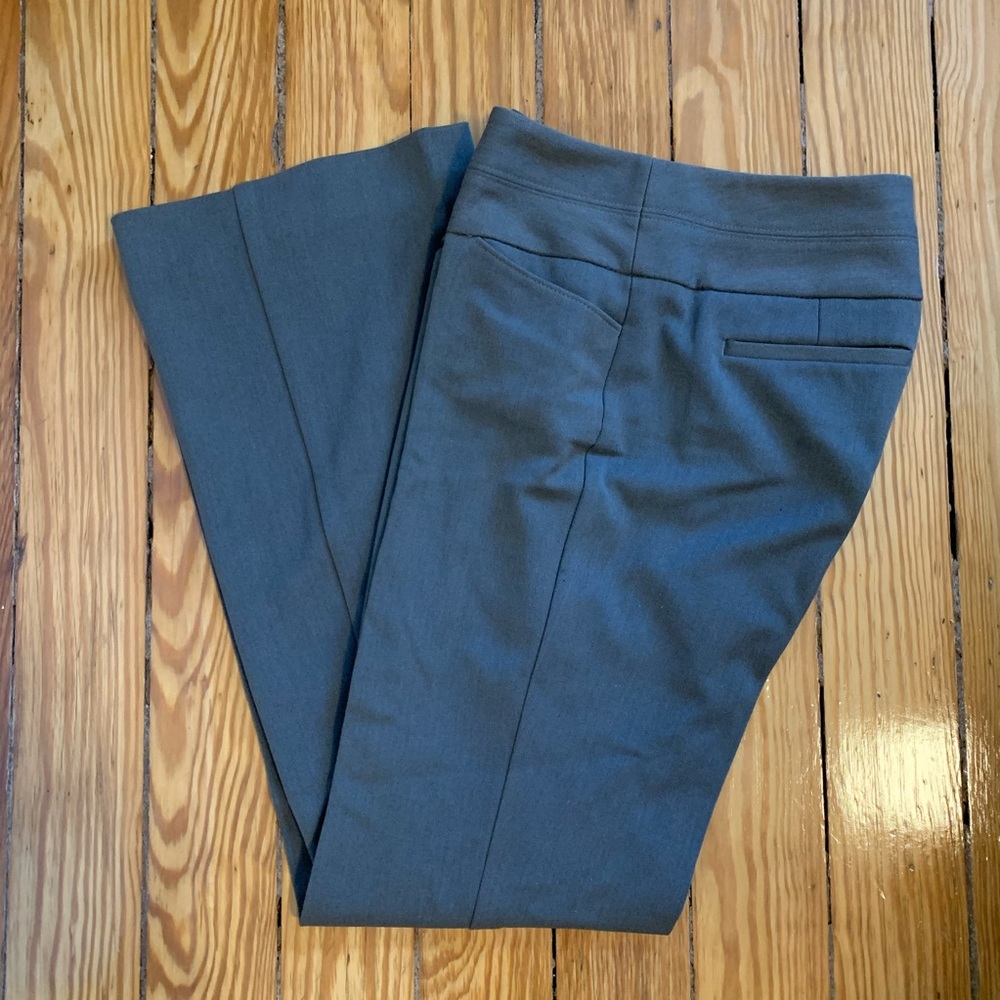 Express Editor Flare Pants